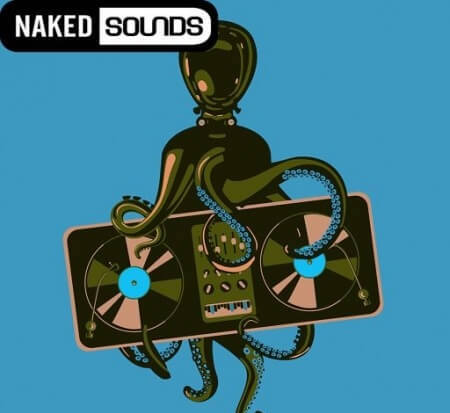 Naked Sounds Hiphop Elements WAV